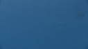 POISSON VOILIER