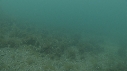 SEICHE