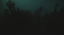 CIMETIERE, CRABES