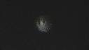 DIODON