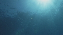 MEDUSE