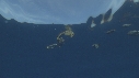 EPAVE FLOTANTE, POISSONS
