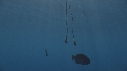 ORDINATEUR FLOTTANT, POISSONS