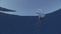 MEDUSE PORTOS