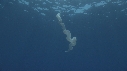 PYROSOME