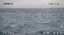 FOUS, DAUPHINS