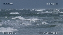 VAGUES