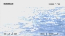 DAUPHINS, FOUS