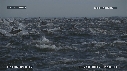 DAUPHINS, BATEAU