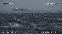 DAUPHINS, BATEAU