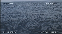 DAUPHINS, CAVALERIE