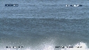 VAGUES