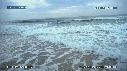 VAGUES