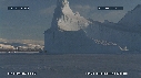 OURS BLANC, CITADELLE