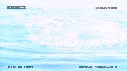 BALEINE FRANCHE