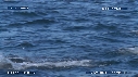 OTARIES