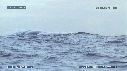 BALEINE FRANCHE