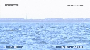 BALEINE FRANCHE
