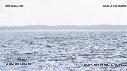 BALEINE FRANCHE