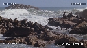 OTARIES, ILE