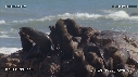 OTARIES, ILE