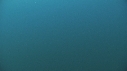 MEDUSE