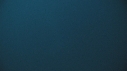 BALEINE BLEUE