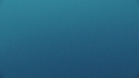 BALEINE BLEUE