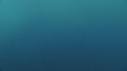 BALEINE BLEUE