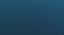 BALEINE BLEUE