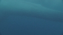 BALEINE BLEUE