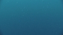 BALEINE BLEUE