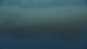 KRILL