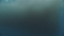 KRILL