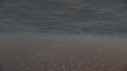 KRILL