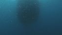 KRILL