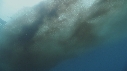 KRILL