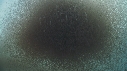 KRILL