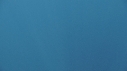 BALEINE BLEUE