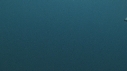 REQUIN PEAU BLEUE