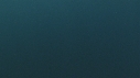 REQUIN PEAU BLEUE