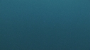 REQUIN PEAU BLEUE