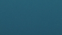 REQUIN PEAU BLEUE, PLONGEUR
