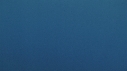 BALEINE BLEUE