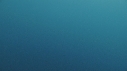 REQUIN MAKO