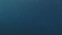 REQUIN MAKO
