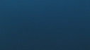 REQUIN MAKO