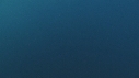 REQUIN MAKO