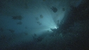 MEDUSE, KELP