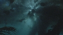 MEDUSE, KELP